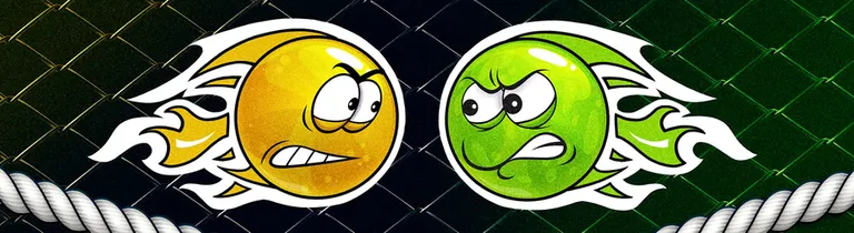 Liga internațională MMA